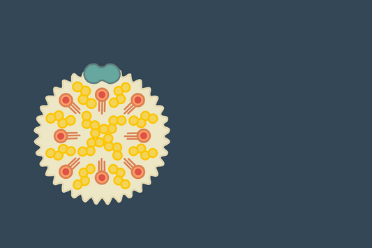 What should your target LDL level be?